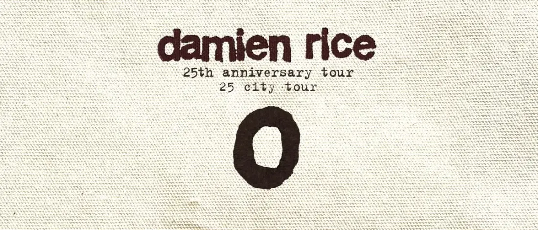 Damien Rice стартира „25 City World Tour“