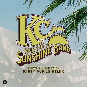 THAT'S THE WAY (Party Pupils Remix)