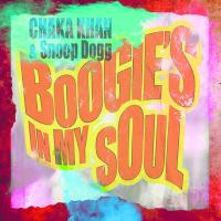 BOOGIE'S IN MY SOUL